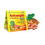 Antangin JRG Tablet 4s