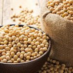 Kacang Kedelai/Soya Bean 500gr & 1Kg (Raw)